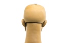 Cabeza de mujer morena