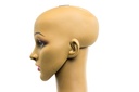 Cabeza de mujer morena
