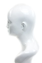 Cabeza de Mujer Blanca Brillante