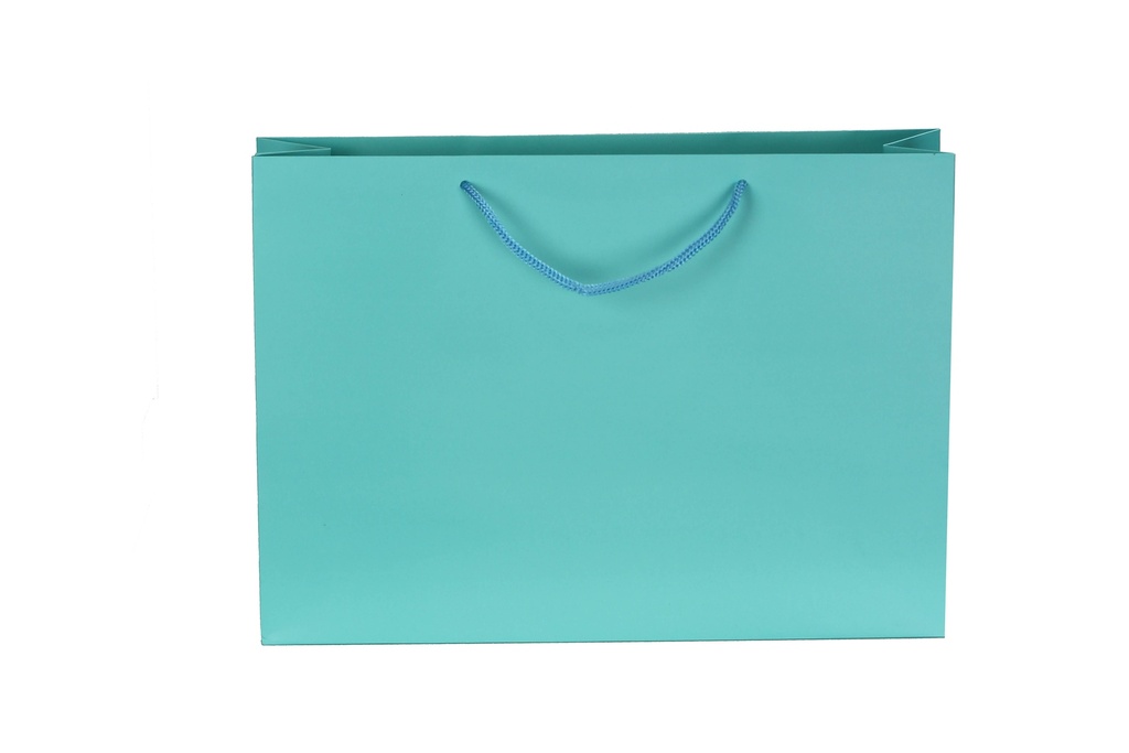 Bolsa de Lujo blanco