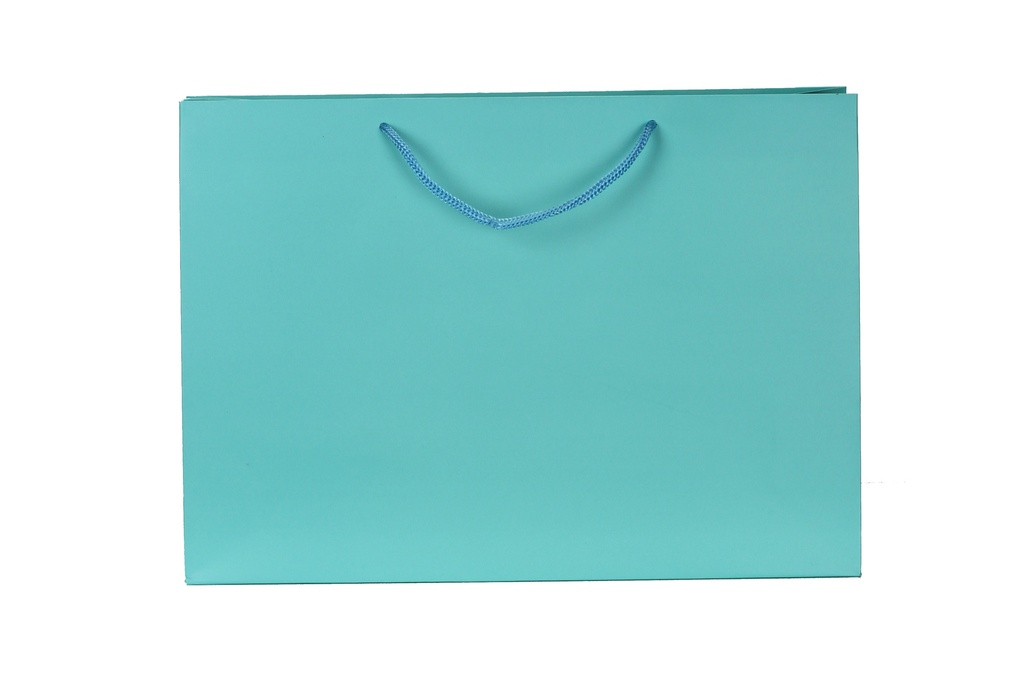 Bolsa de Lujo blanco