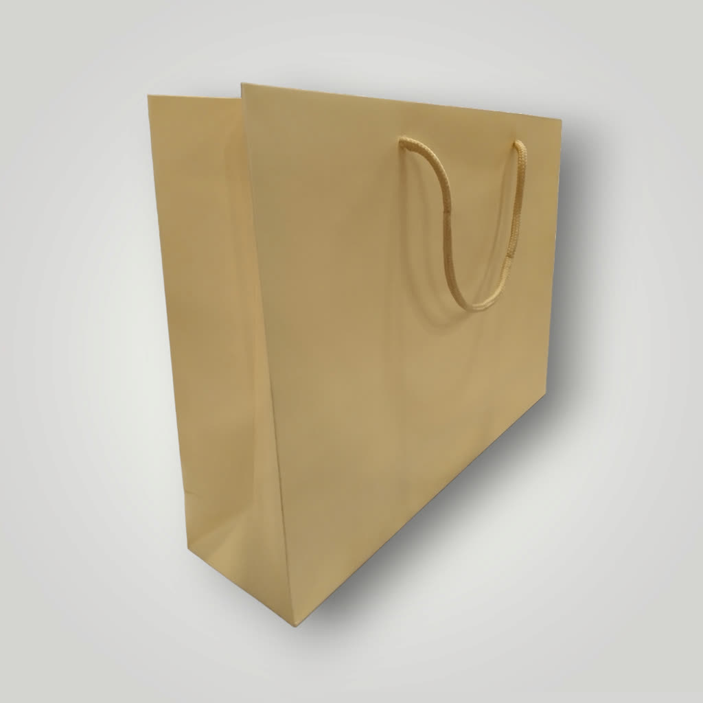 Bolso de Lujo con Cordón 35X9X25cm Crema 12 unidades