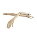 Articulated Arms for Women, Light