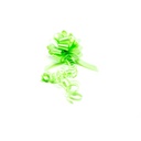 绿的自动拉绳 la zo Automático Verde 25undes